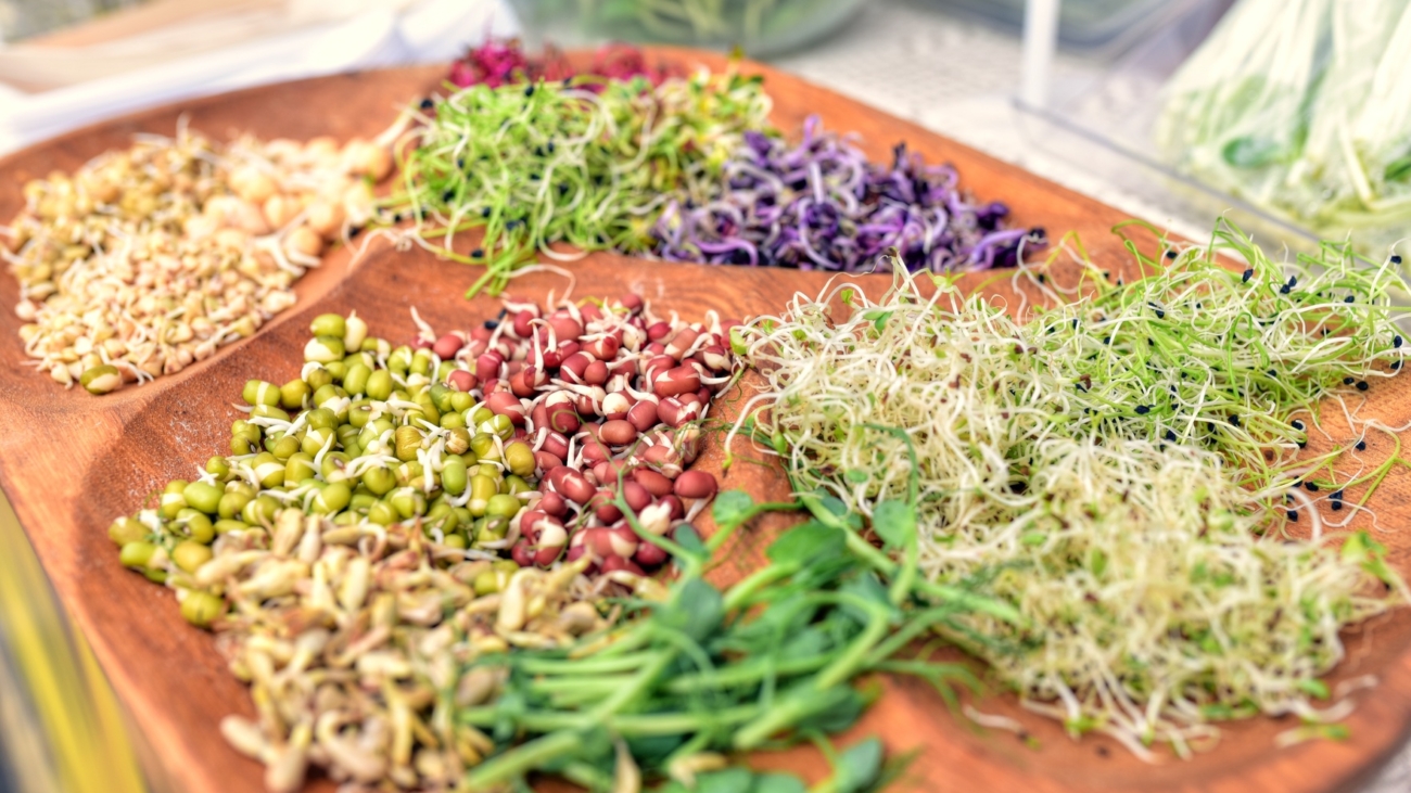 Growing vegetables in a wooden tray
