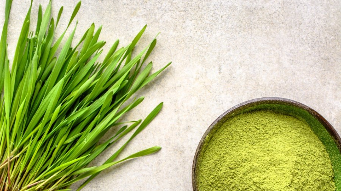 Green superfood detox - barley grass powder and sprouts, vegetarian diet and healthy lifestyle concept